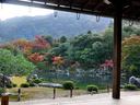 京都天龍寺の紅葉