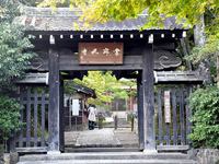 京都常寂光寺の紅葉