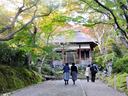 京都常寂光寺の紅葉