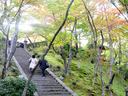 京都常寂光寺の紅葉