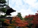 京都常寂光寺の紅葉