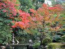京都知恩院の紅葉