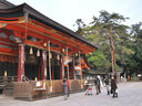 京都八坂神社の紅葉
