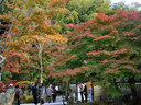 京都高台寺の紅葉