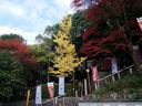 京都霊山護国神社の紅葉