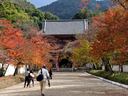 京都醍醐寺・三宝院の紅葉