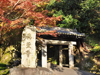 京都興聖寺の紅葉