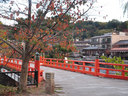 京都宇治塔の島の紅葉