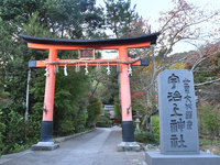 京都宇治上神社の紅葉