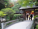 京都宇治上神社の紅葉