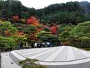 京都銀閣寺の紅葉