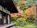 京都銀閣寺の紅葉