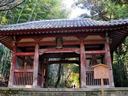 京都勝持寺の紅葉