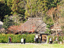 京都落柿舎の紅葉