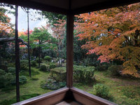 京都宝泉院の紅葉