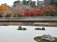 京都龍安寺の紅葉
