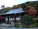 京都山崎聖天の紅葉
