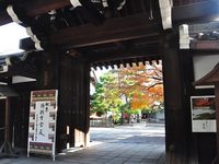 京都廬山寺の紅葉