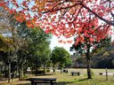 京都宝ヶ池の紅葉