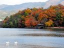 京都宝ヶ池の紅葉