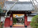 京都常照寺の紅葉