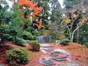 京都常照寺の紅葉