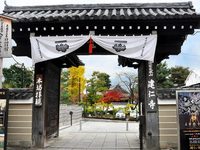 京都建仁寺の紅葉