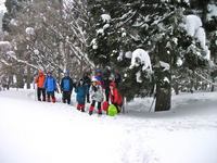 20150220-01.jpg