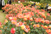 京都府立植物園