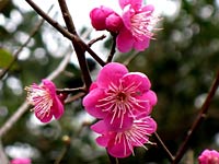 20150223-03.jpg