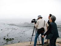 遙かなるふるさと 旅順・大連