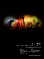 京都精華大学映像コース３年生有志展　color－あなたの色は何色ですか？