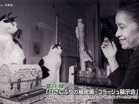 武川緑「ひさしぶりの細密画・コラージュ展示会」