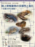 陸上脊椎動物の多様性と進化─京都大学の挑戦