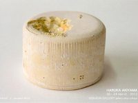 秋山はるか展 ceramic exhibition