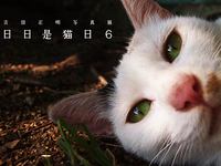 日日是猫日６～吉田正明写真展