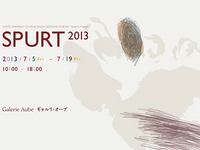 SPURT 2013