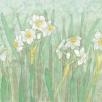 イベント