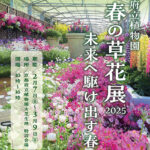 イベント