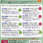 音楽