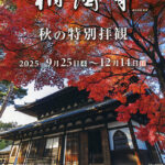 美術館
