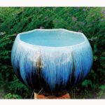 鄭琪満 作陶展 画廊・ギャラリー