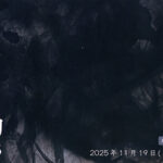 生動2025