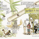 初めての人類学的バンド・デシネ(漫画)を知ろう! 初めての人類学的バンド・デシネ(漫画)を知ろう!