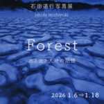 画廊・ギャラリー