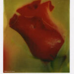 画廊・ギャラリー