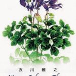 画廊・ギャラリー