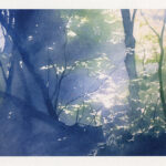 豊永凌平 個展─光と影─