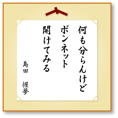 何も分らんけどボンネット開けてみる