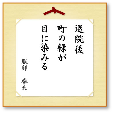 退院後町の緑が目に染みる